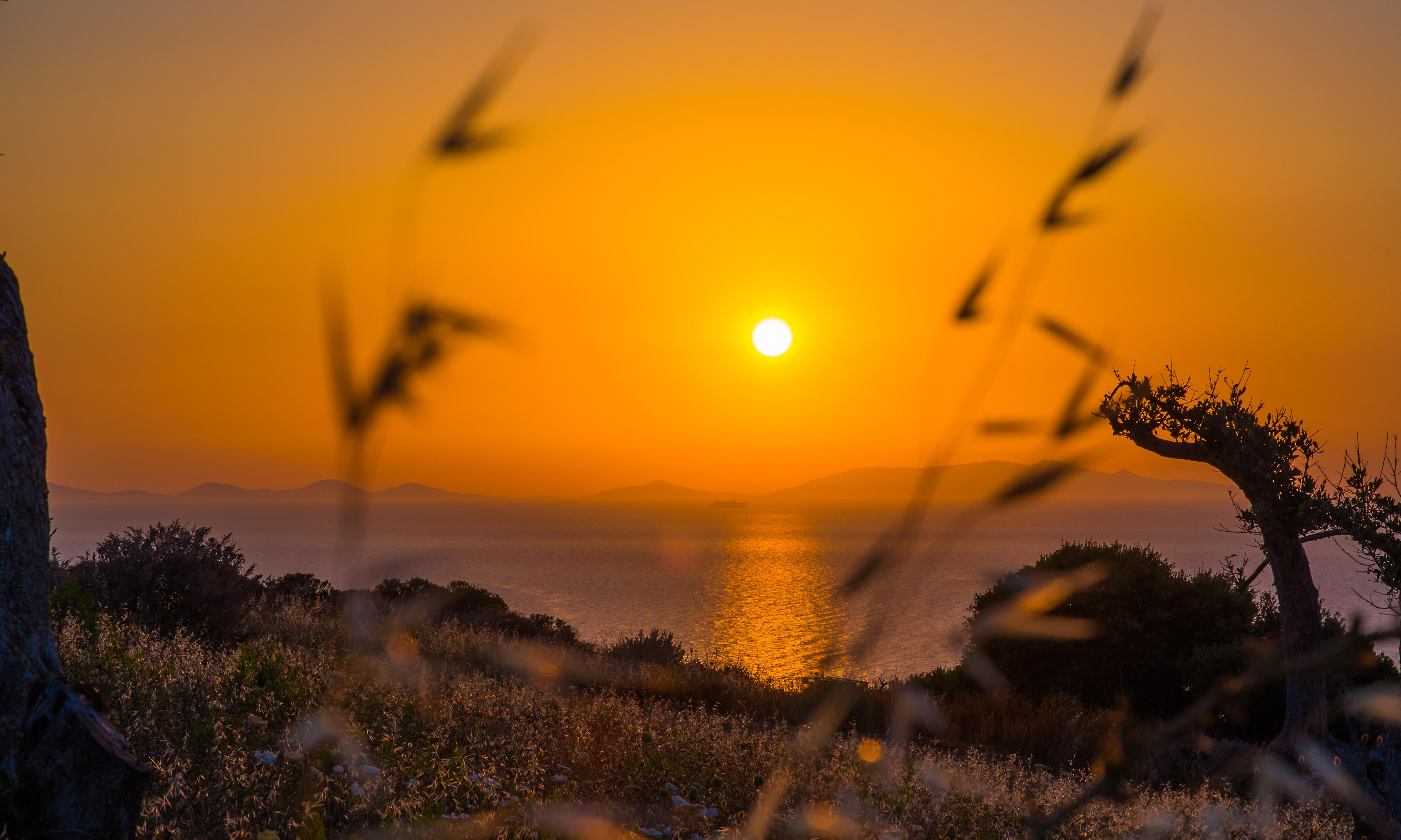 Bajaloglia Resort Castelsardo Eksteriør billede