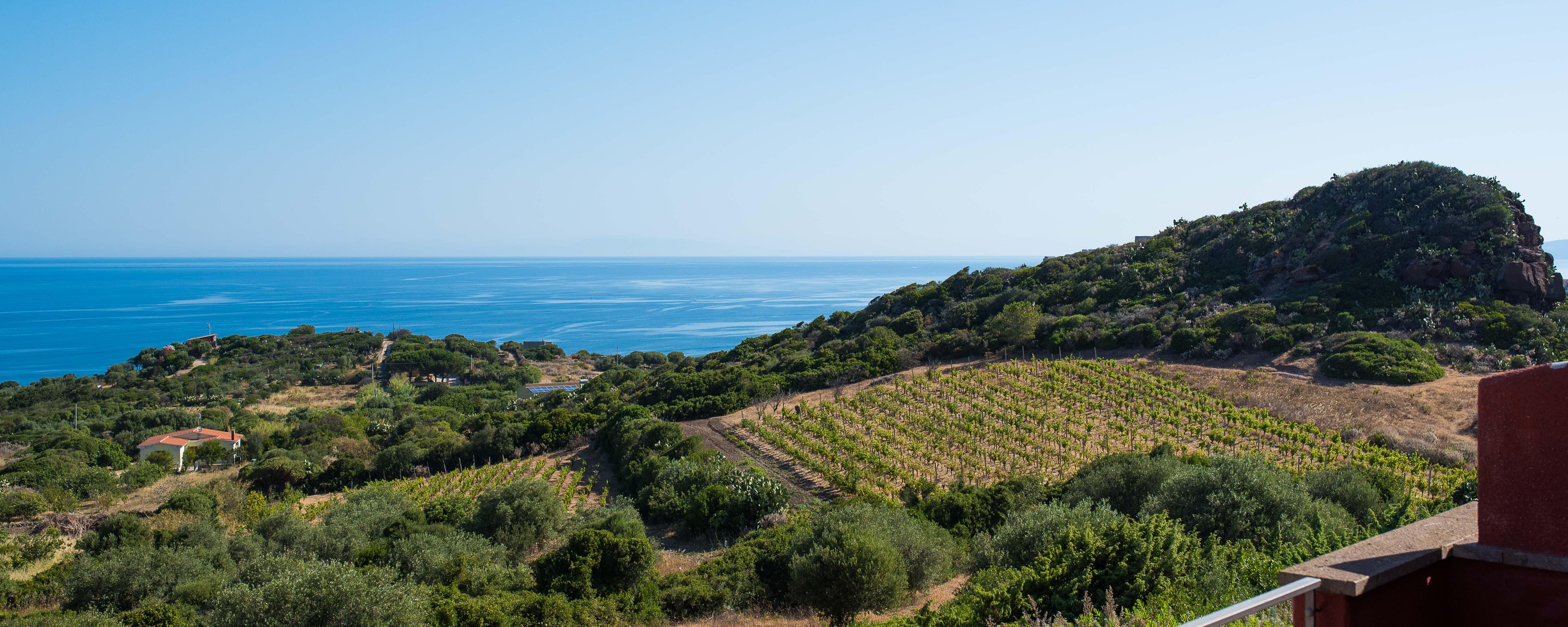 Bajaloglia Resort Castelsardo Eksteriør billede